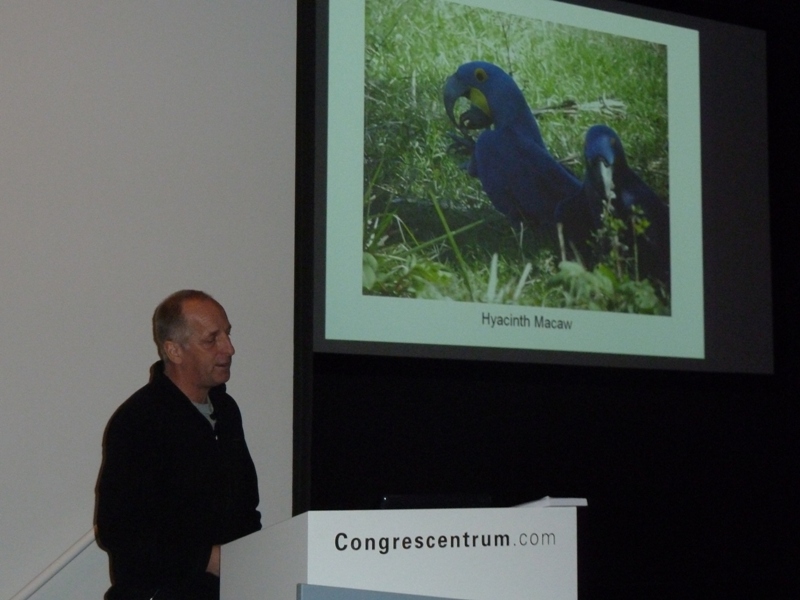 Update Dutch Birding vogeldag - een foto-overzi